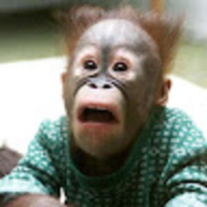 Meet your Posher, What are you doing?